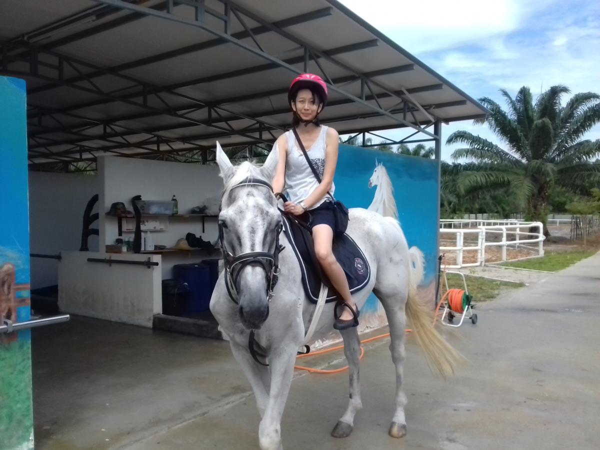 Kampong Bukit Panjang Sinar Eco Resort المظهر الخارجي الصورة