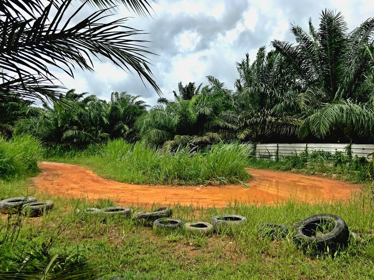 Kampong Bukit Panjang Sinar Eco Resort المظهر الخارجي الصورة